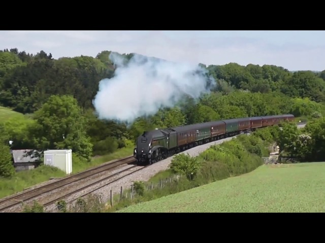 Locomotoras de vapor