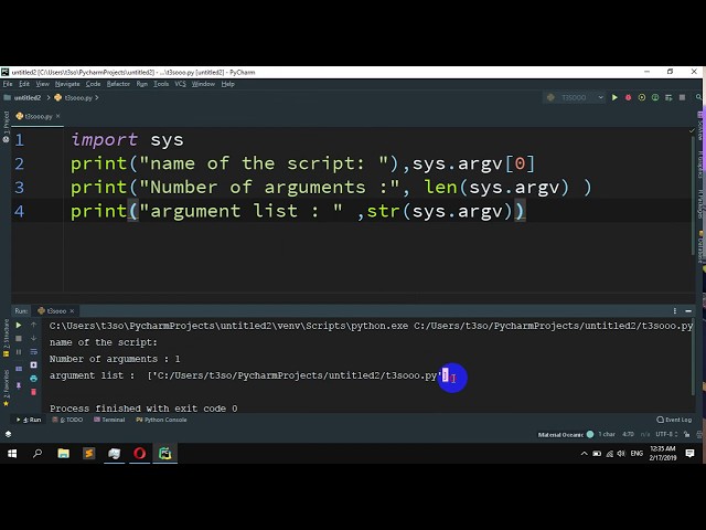 How to Get the command line arguments passed to a script in Python