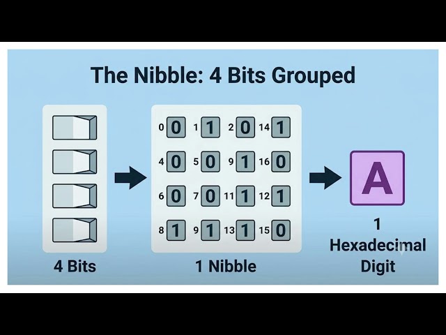 Bits, Bytes, Nibbles & Memory Units Explained | Edexcel IGCSE Computer Science (9–1) | Binary Basics