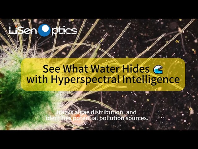 Seeing Water Beyond the Surface: Hyperspectral Intelligence in Action