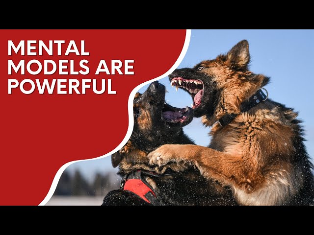 Mental models are powerful | Real World Examples