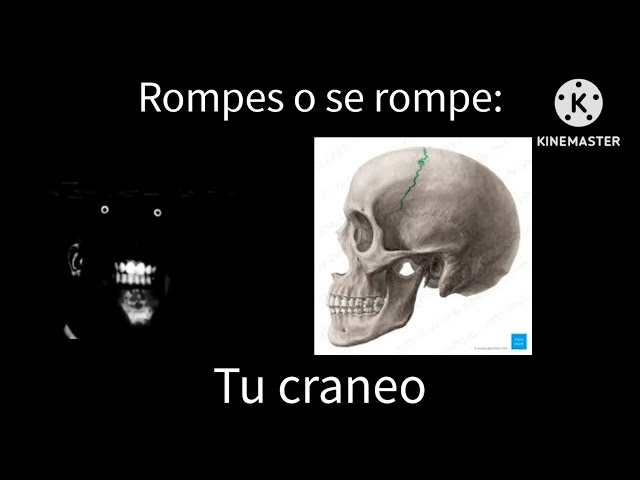 Mr increíble perturbado: rompes o se rompe 