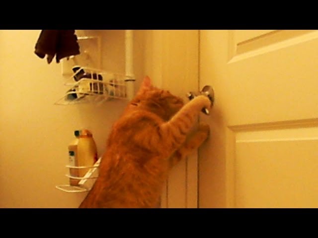 Boo Opens the Door (Silly Boo)
