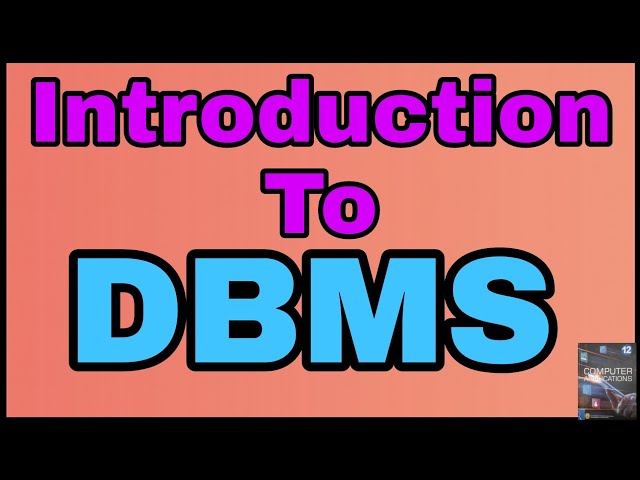 12th Computer Applications chapter 3 Database Management System