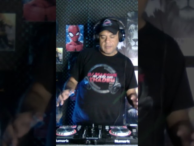 SHAGGY, BRIAN & TONY GOLD – HEY SEXY LADY  X STRYV, MALACHIII, ADAM PORT – POSITIONS (  REMIX)