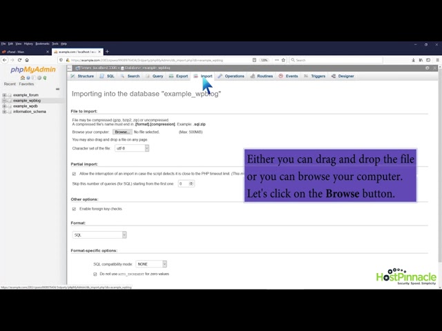 How to import database via phpMyAdmin in cPanel with HostPinnacle