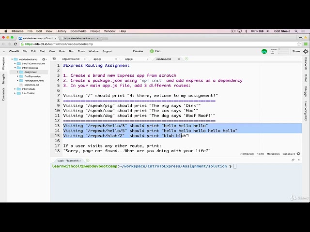 12   Express Basics Exercise    Express Node JS      Full tutorial for Beginners