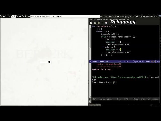 Installing Packages in Nixos and Random Walk 1D and 2D simple implementation with turtle