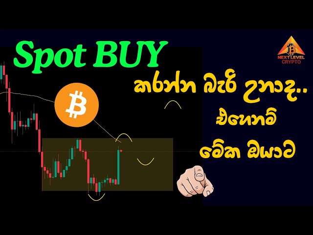 තවම SPOT BUY කරන්න බැරි උනාද.. එහෙනම් මේක ඔයාට| BTC Update Sinhala