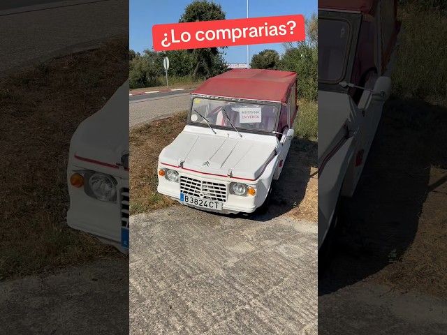 ✅ Would you buy it? #citroen #citroenmehari #mehari