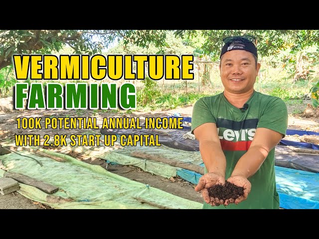 AMAZING VERMICULTURE FARMING | 2.8K NA PUHUNAN, PWEDENG KUMITA UP TO 100K USING MIGRATION TECHNIQUE