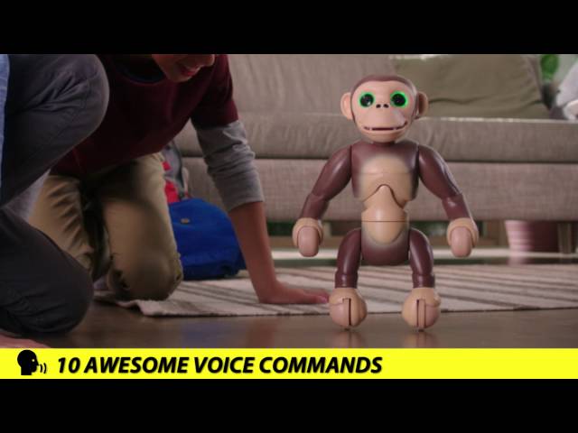 Zoomer | Zoomer Chimp Does So Many Tricks!