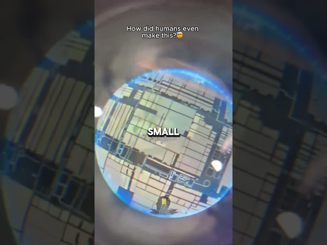 Apple Microchip CPU Vs Human Hair 🤯