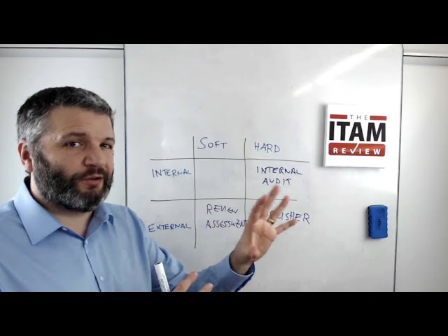 What is a software audit? four types explained