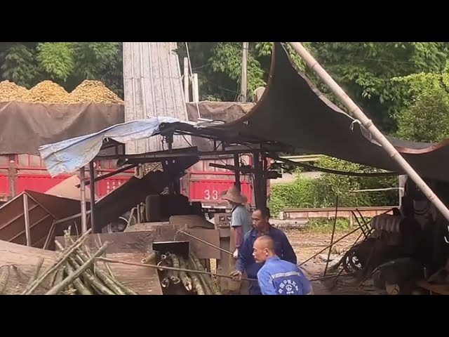 The 20-Ton Hustle: Hook-to-Truck Bamboo Processing Cycles