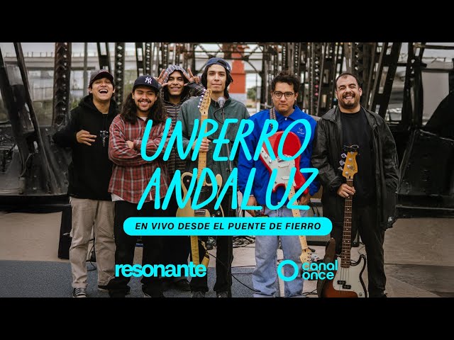 Resonant - an Andalusian dog on the Iron Bridge (21/02/2026)