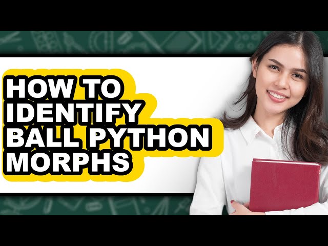 How to Identify Ball Python Morphs - Step by Step