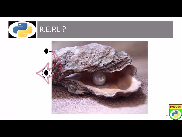 1103: DevOps - REPL Review