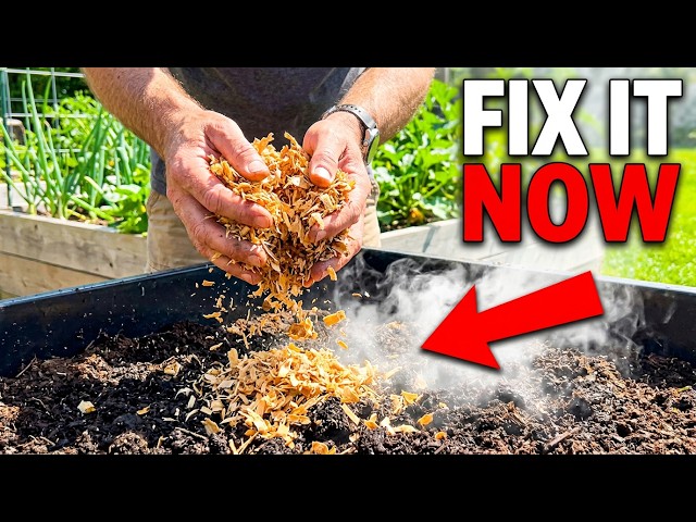 🧄 STOP MAKING SLIMY COMPOST! DO THIS ONE THING FOR BLACK GOLD