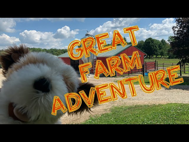 Farm, Animals, Hard Work- Virtual Field Trip