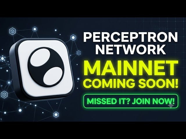Perceptron Network Full Setup Guide! 🚀 Mobile App & PC Extension Setup (Mainnet Coming Soon)