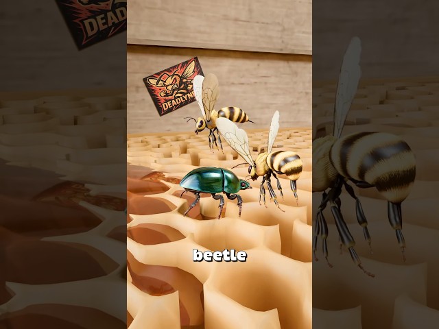 Bees Imprison Live Invaders 🐝😱