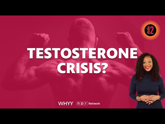 Why are testosterone levels falling? | Studio 2 from WHYY | 08/19/2026