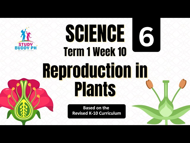 Science 6 Term 1 Week 10: Reproduction in Plants | Sexual and Asexual Reproduction