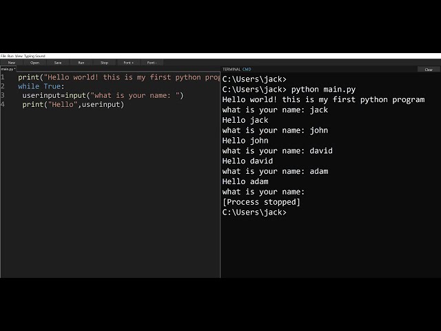 My First Python Program - What is Your Name? Hello World. - Print, If, Input, While True, Comments