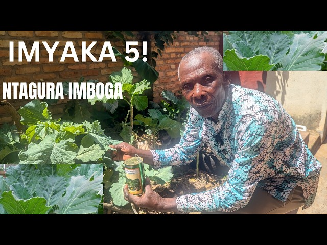 Nasuye umusaza umaze imyaka 5 atagura imboga… uko abikora biratangaje