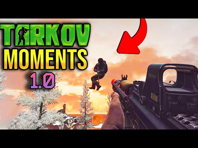 EFT WTF Moments | ESCAPE FROM TARKOV | Highlights & Clips Ep.463
