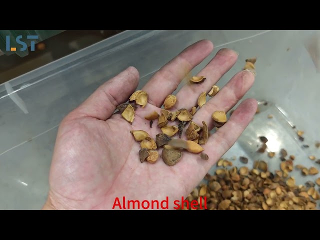 Almond Shell Sorting Belt Sorter
