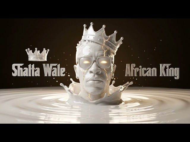 SHATTA WALE - END OF DISCUSSION (OFFICIAL AUDIO)