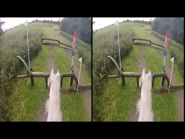 SBS VR GoPro Horse Fall (Virtual reality)