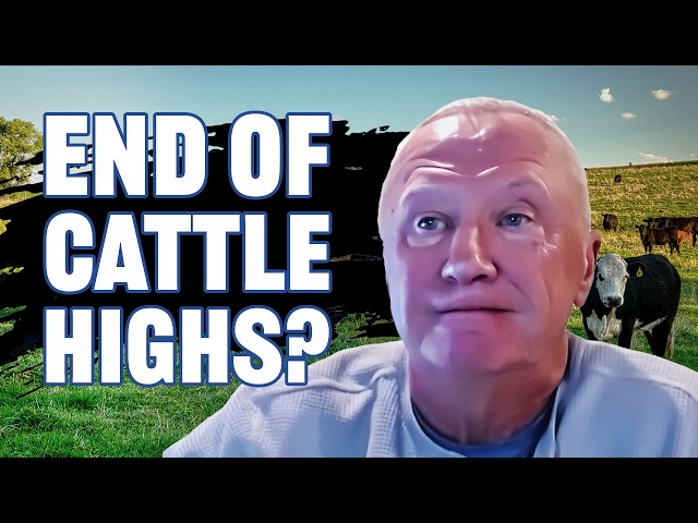 End of High Cattle Prices? - Sherman Newlin on RFD-TV