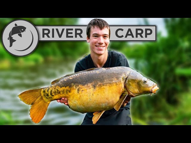 How To Catch Carp From RIVERS - 4 steps to catching river carp