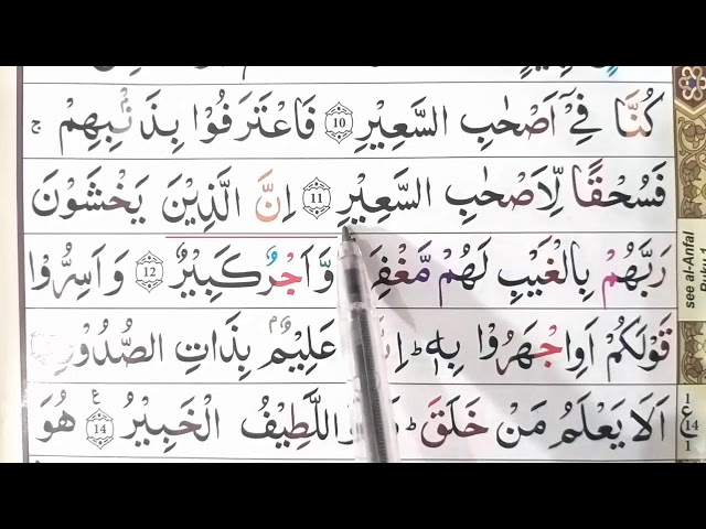 Learn Quran by Qari Ehsan Live Stream