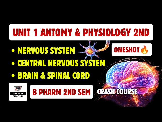 Unit 1 Hap 2nd Semester | Nervous System | CNS | brain | Spinal Cord