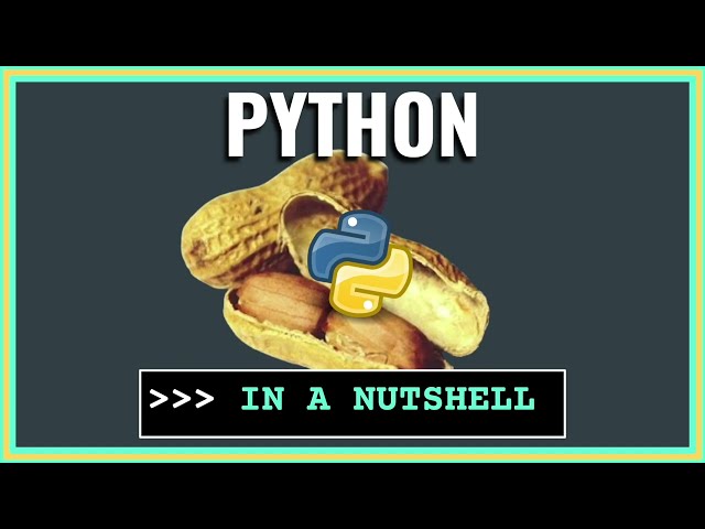 all of python coding explained in 2 minutes