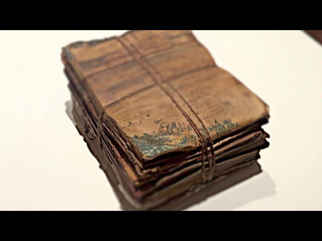 Sa'dia Rehman, The Patricia & Phillip Frost Art Museum