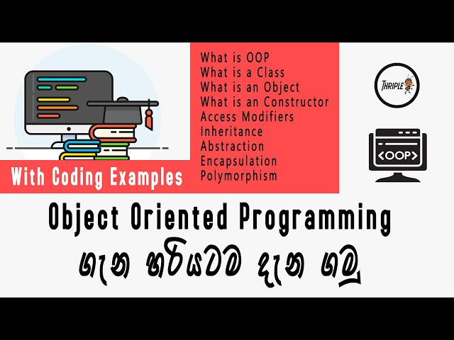 Learn in One Video - Object Oriented Programming with Coding Examples for Beginners