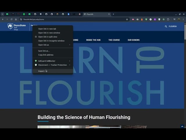 Responsive Branding with SVGs, Lit and CSS Variables