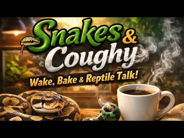 Snakes & Coughy ep. 8