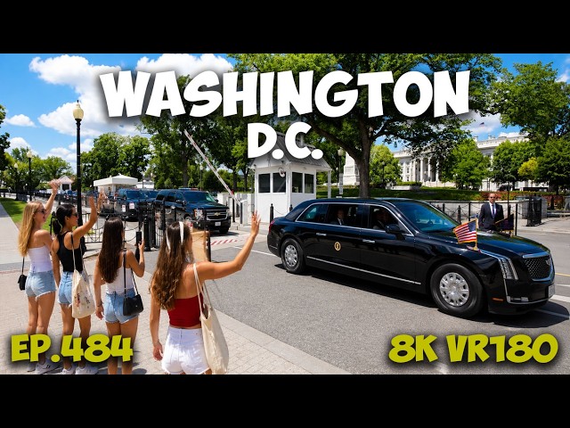 Ep.484 Washington D.C. Landmarks: The White House South Lawn & Ellipse 8K VR180 3D