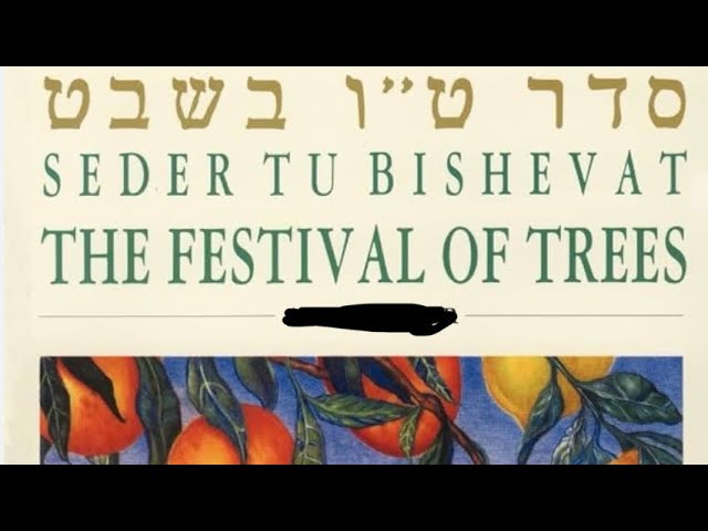 January 29th  The Festival of Trees