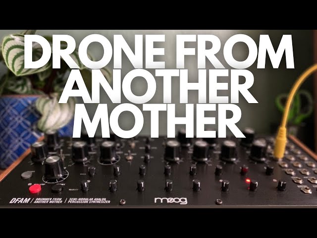 Drone Patch | Moog DFAM