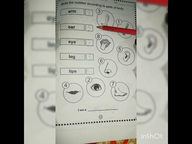 Class Nursery, English, page number 53