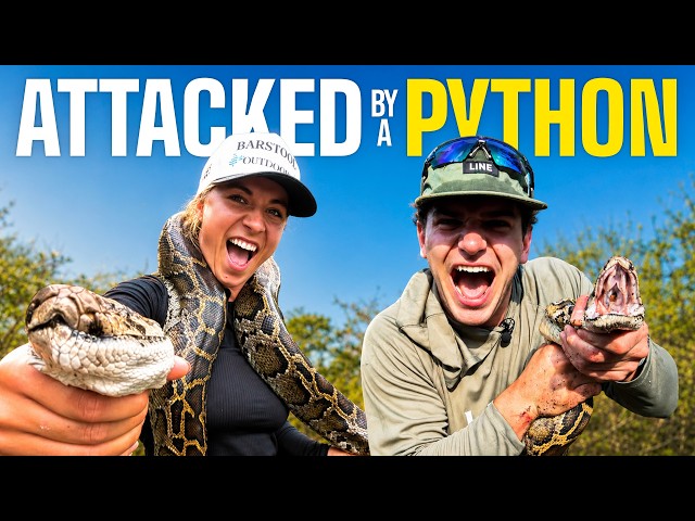 Chasing DOG EATING Pythons! | (ft @PythonCowboy @DonnyEnriquez1 )
