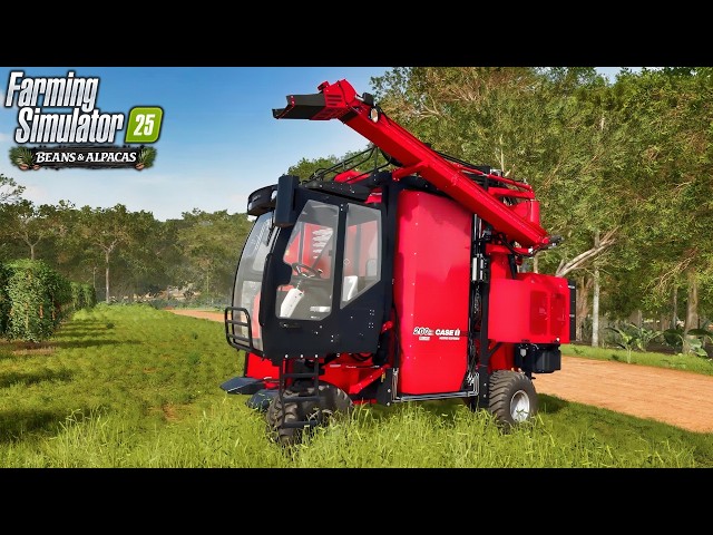Building A Coffee Plantation, Fungicide & Harvesting - Raw Gameplay | FS25 Beans & Alpacas Expansion