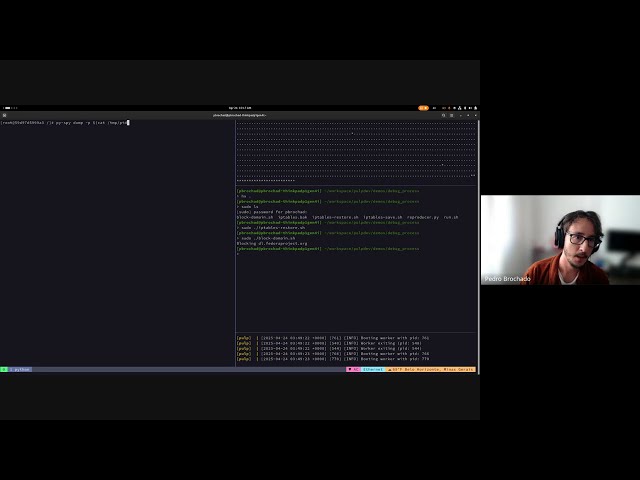 Debugging a stuck process